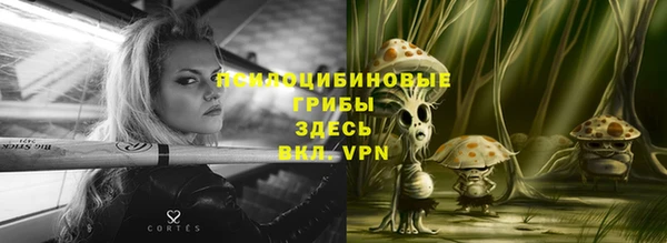 ALPHA PVP Аркадак