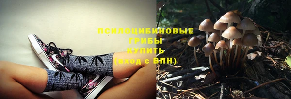 амф Балабаново