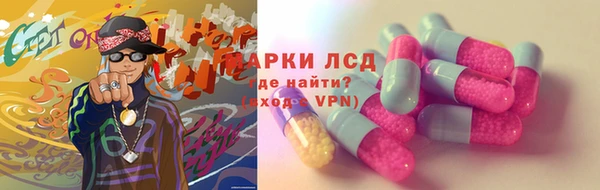 гидра Арсеньев