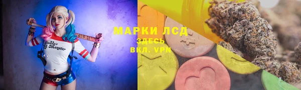 гидра Арсеньев