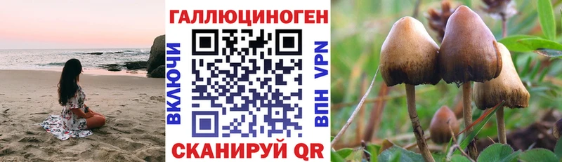 Псилоцибиновые грибы Cubensis  цены наркотик  Грязовец 